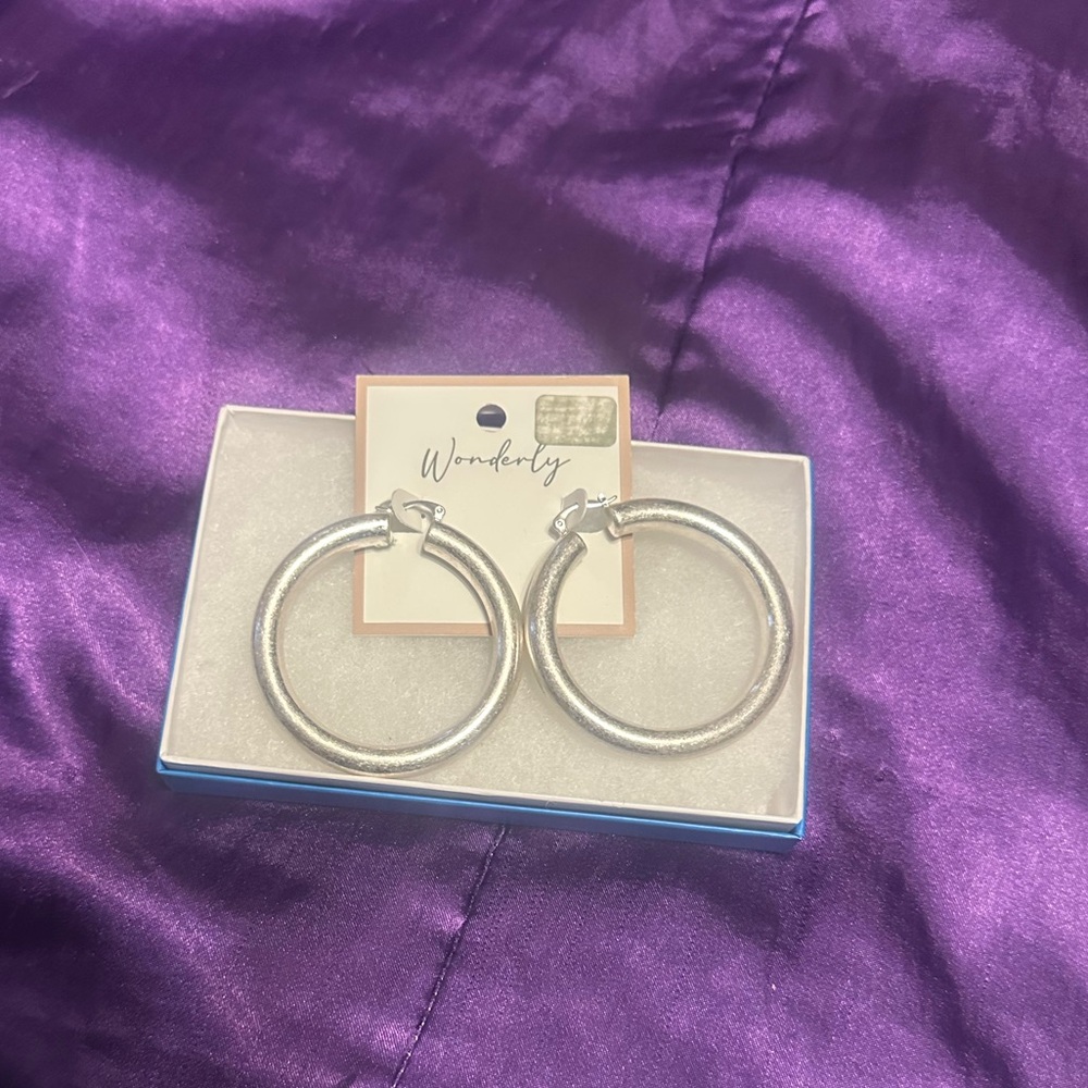 Wonderly Shimmering Silver Hoop Earrings